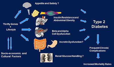 The “A to Z” of Managing Type 2 Diabetes in Culturally Diverse Populations